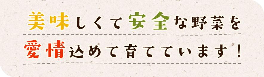 美味しくて安全な野菜を愛情込めて育てています！