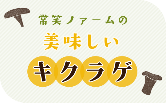 常笑ファーム美味しいキクラゲ