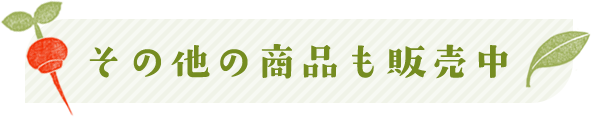 その他の商品も販売中